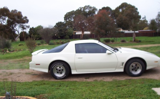 1983 Pontiac Transam