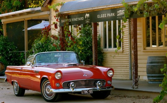 1955 Ford Thunder Bird