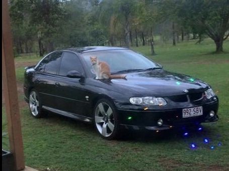 2002 Holden Commodore VX SERIES 2 S