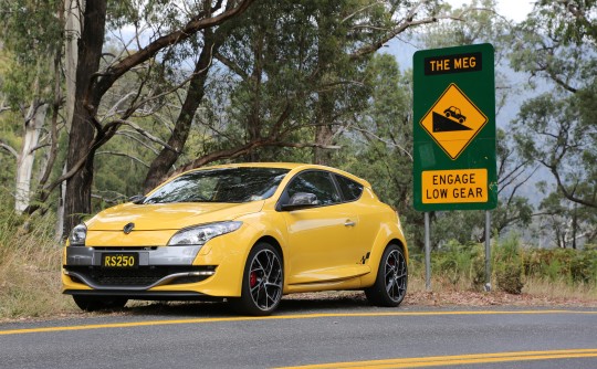 2010 Renault MEGANE RENAULT SPORT 250 CUP