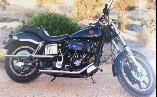 1981 Harley-Davidson FXB