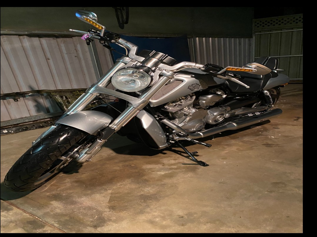 2010 Harley-Davidson 1246cc VRSCF MUSCLE