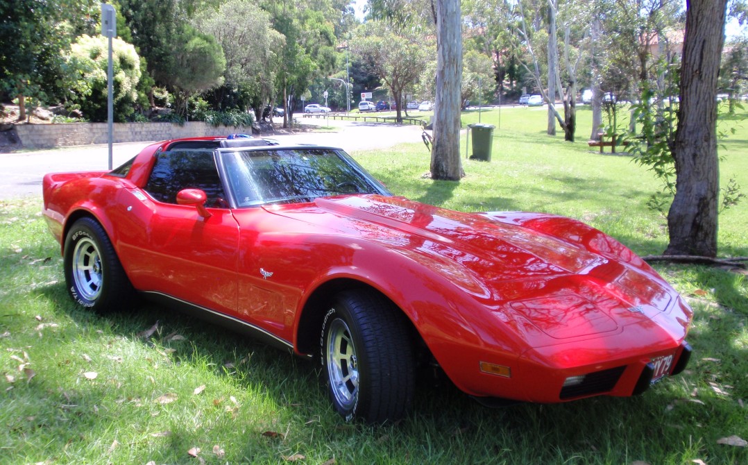 1979 Chevrolet CORVETTE STINGRAY