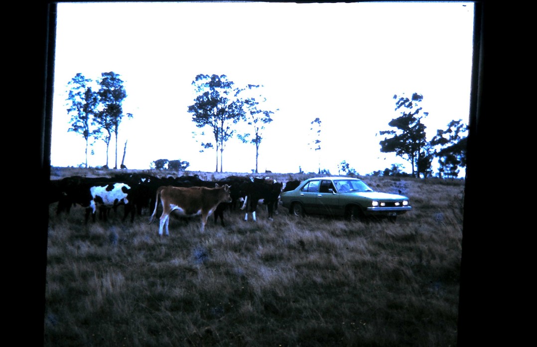 1975 Holden Torana LH Gpak