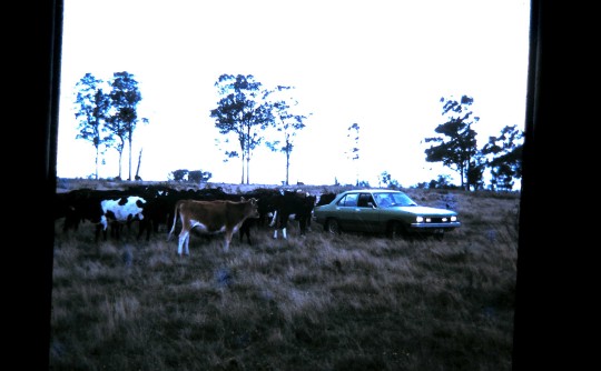 1975 Holden Torana LH Gpak