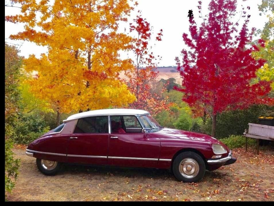 1970 Citroen D