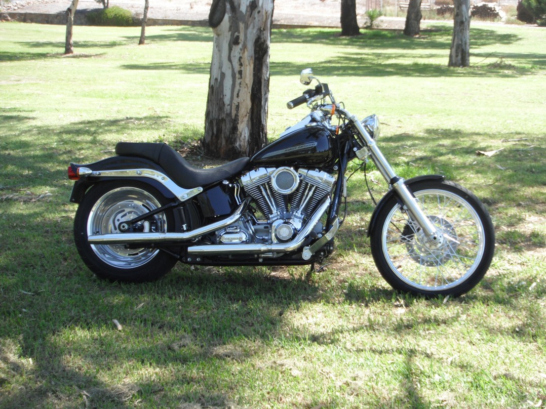 2011 Harley-Davidson Softail Standard