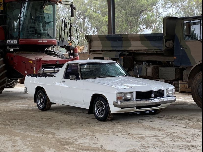 1981 Holden WB