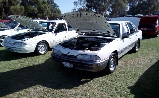 1987 Holden VL