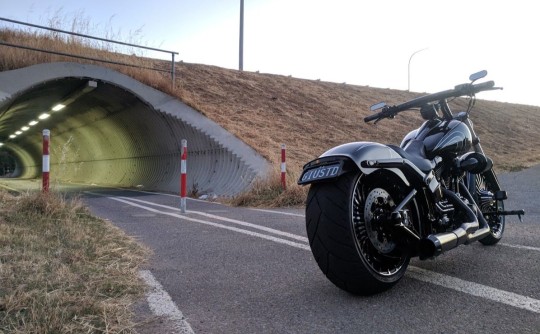 2015 Harley-Davidson Breakout-(FXSB)