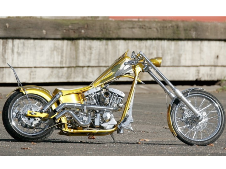 1980 Harley-Davidson Custom Shovelhead Chopper
