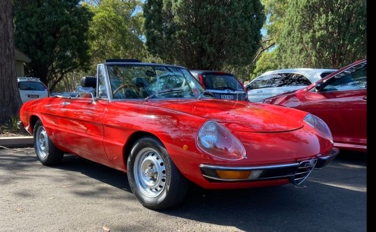 1974 Alfa Romeo SPIDER 2000 VELOCE