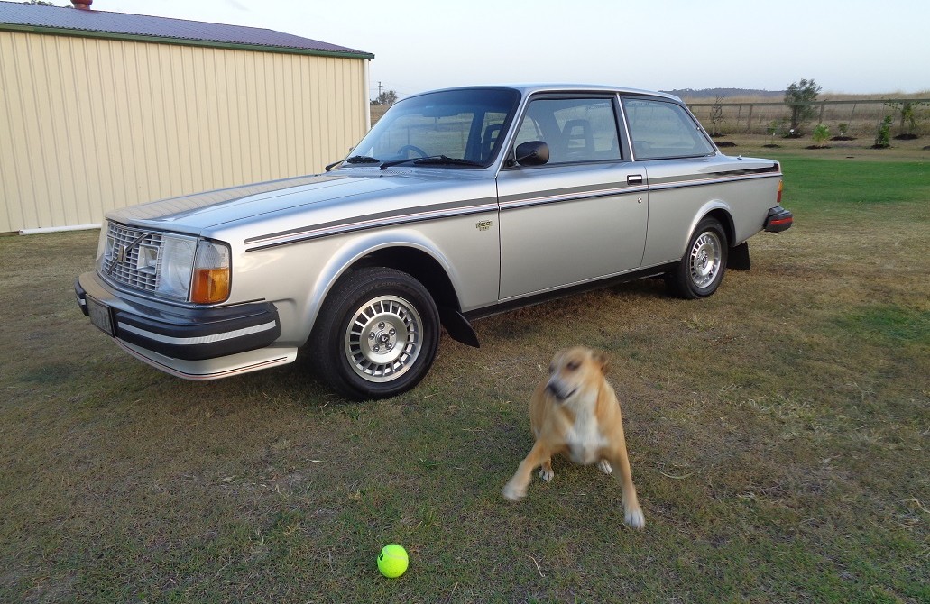 1979 Volvo 242GT