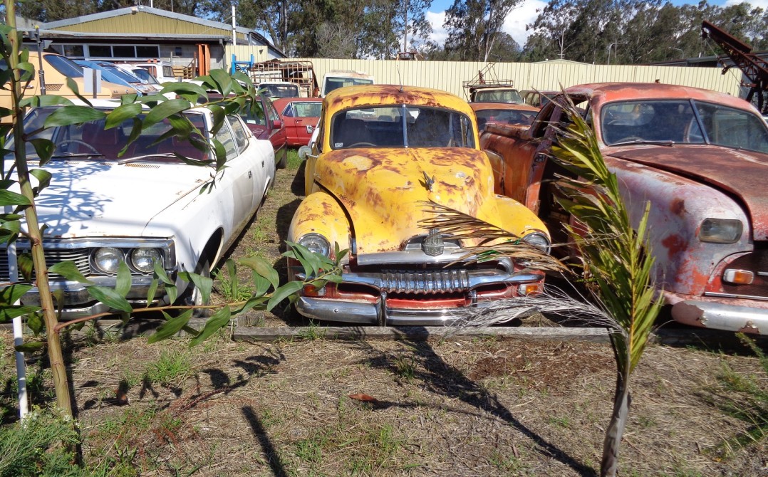 1955 Holden FJ