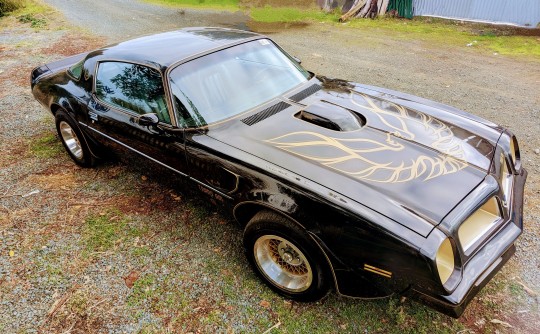 1976 Pontiac FIREBIRD TRANS AM