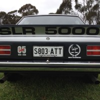 MDH0606Torana