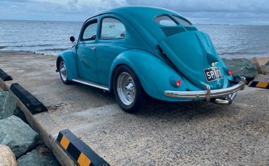 1952 Volkswagen beetle