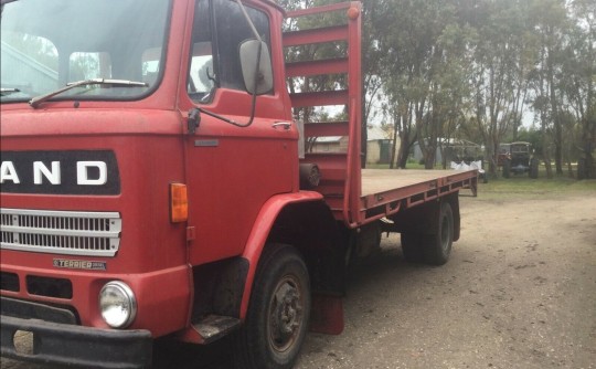 1979 Leyland Terrier