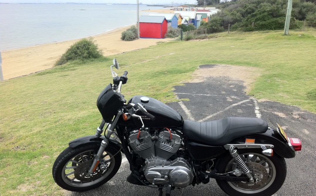 2008 Harley-Davidson 883cc XL883 SPORTSTER