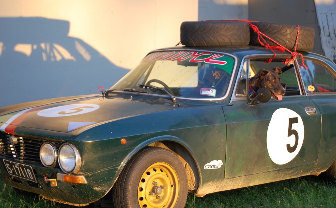 1974 Alfa Romeo GTV 2000