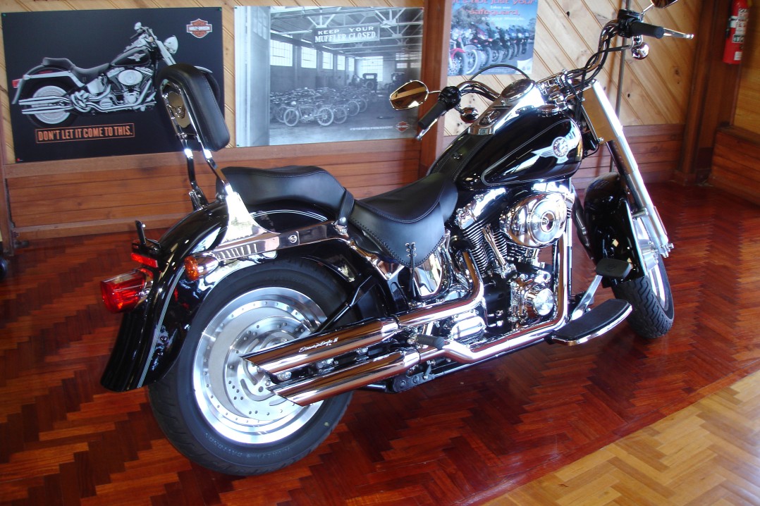 2006 Harley-Davidson FLSTFI