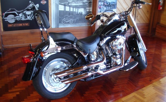 2006 Harley-Davidson FLSTFI