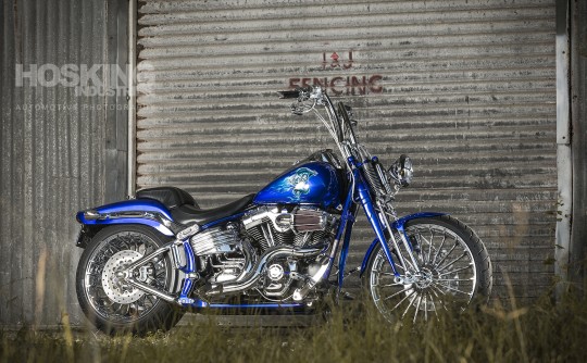 2009 Harley-Davidson Springer CVO