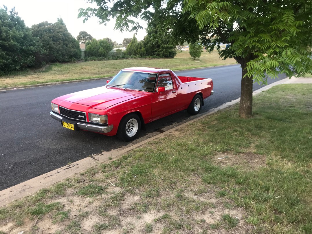 1981 Holden Wb