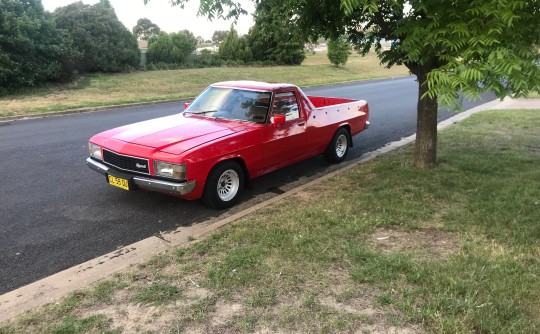 1981 Holden Wb