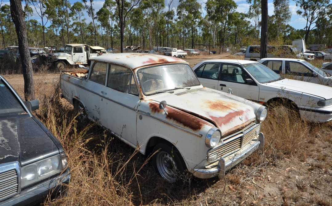 Datsun 1200 dual cab utes?