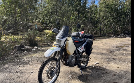 2008 Suzuki 641cc DR650SE