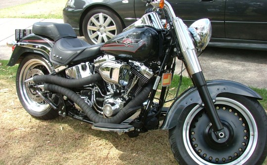 2007 Harley-Davidson FLSTF