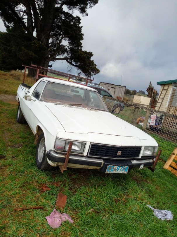 1983 Holden WB