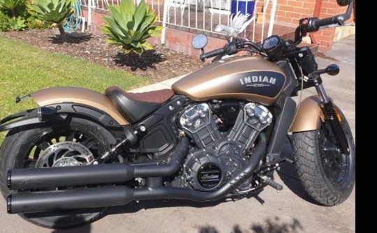 2019 Indian Scout bobber