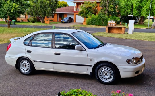 2000 Toyota COROLLA ASCENT SECA