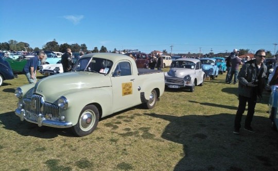 1952 Holden FX 48-215