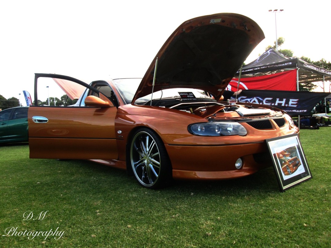 2001 Holden commodore ss