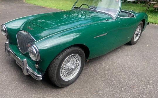 1954 Austin Healey BN1