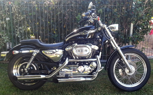 2003 Harley-Davidson XL1200C ANV SPORTSTER CUSTOM 100th Anniversary Edition