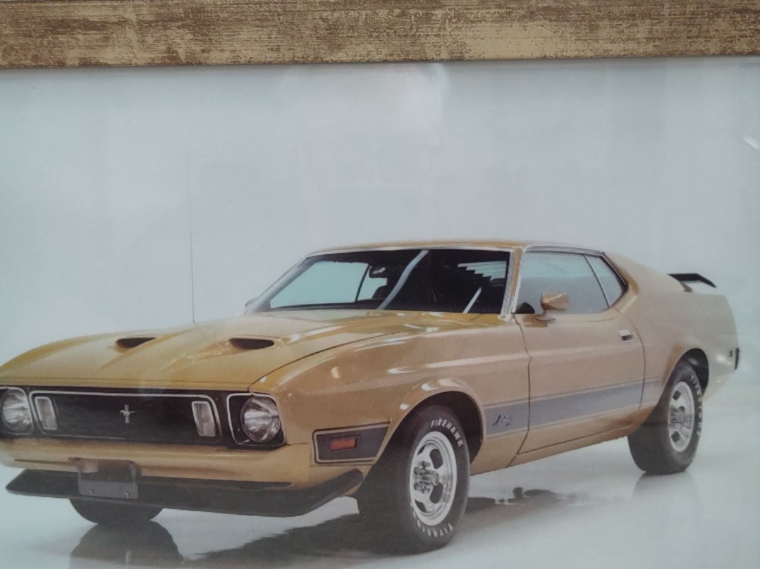 1973 Ford Mustang Mach 1