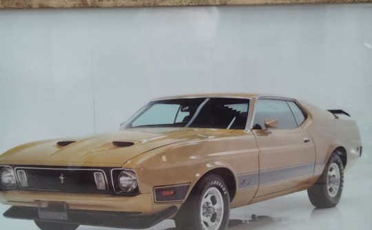 1973 Ford Mustang Mach 1