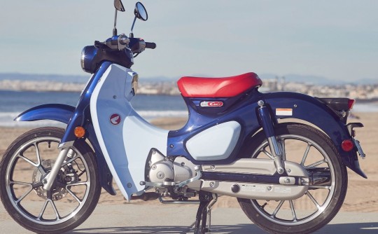 2019 Honda supercub