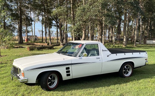 1975 Holden HJ
