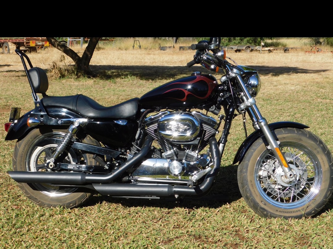 2015 Harley-Davidson 1200cc XL1200C SPORTSTER CUSTOM
