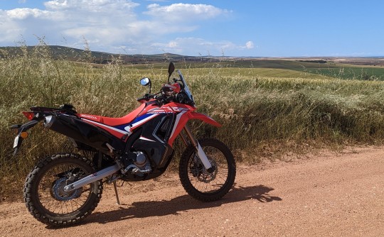 2020 Honda CRF250 Rally