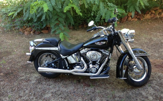 2009 Harley-Davidson 1450cc FLSTN SOFTAIL DELUXE