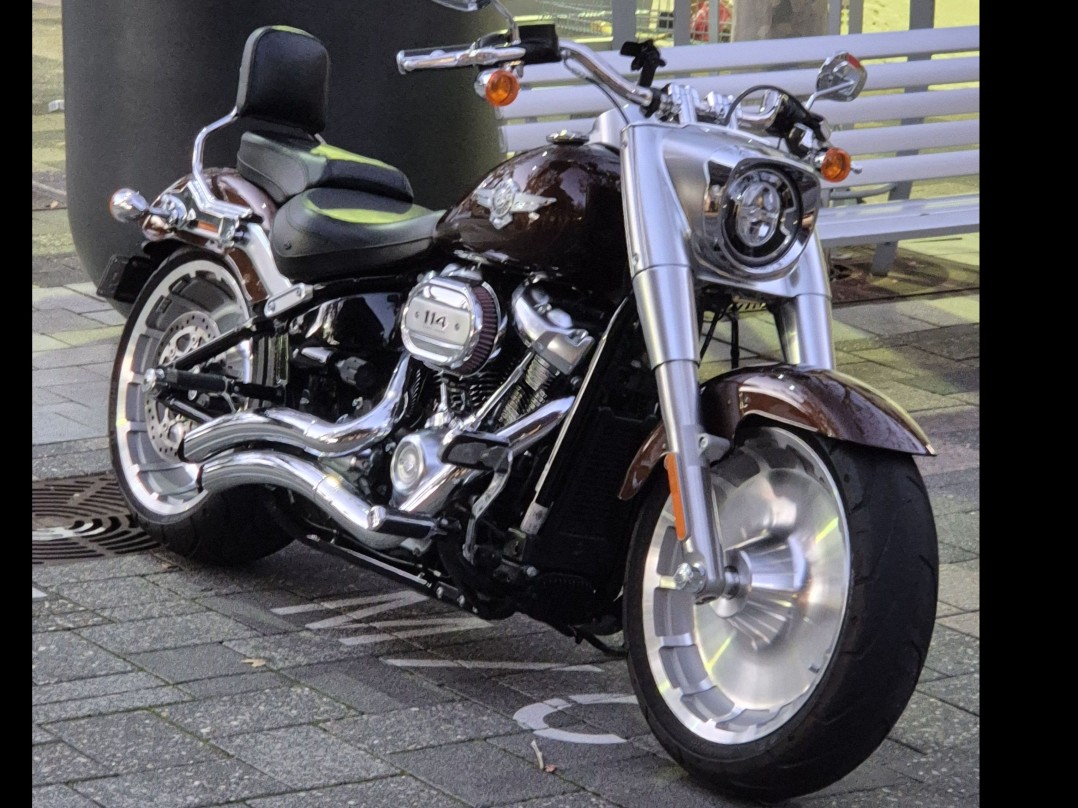 2019 Harley Davidson Fatboy