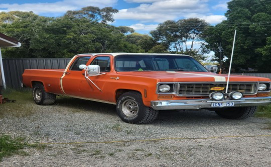 1974 Chevrolet C20